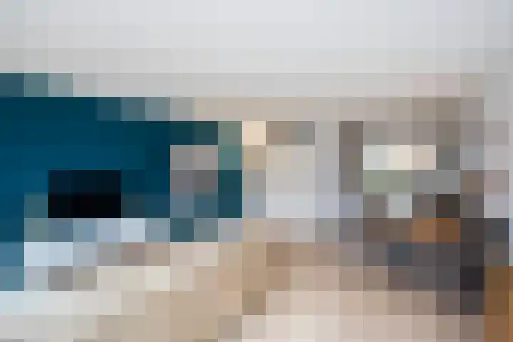 Twistvlietpad 77 Zwolle thumbnail 6