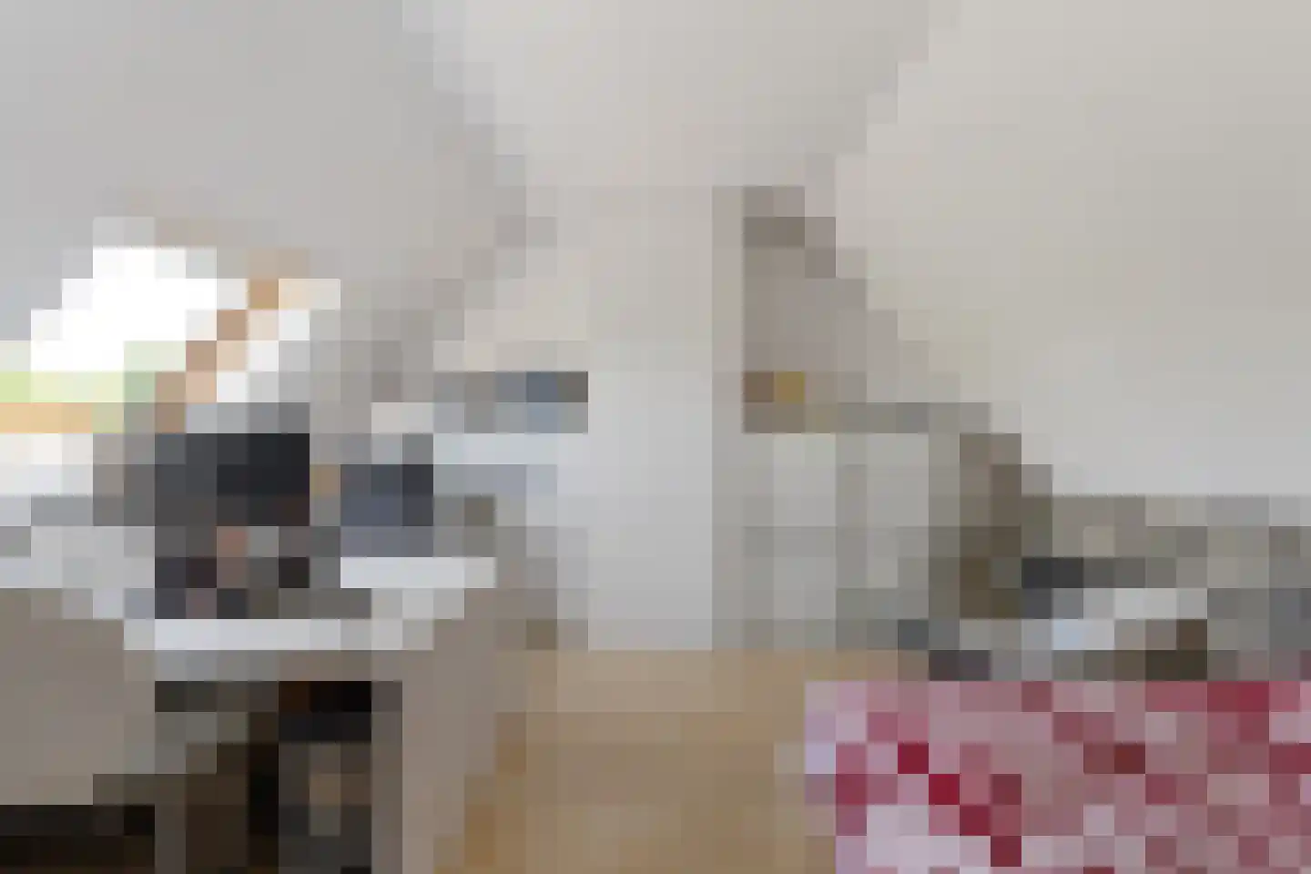 Twuyverweg 64 Sint Pancras thumbnail 30
