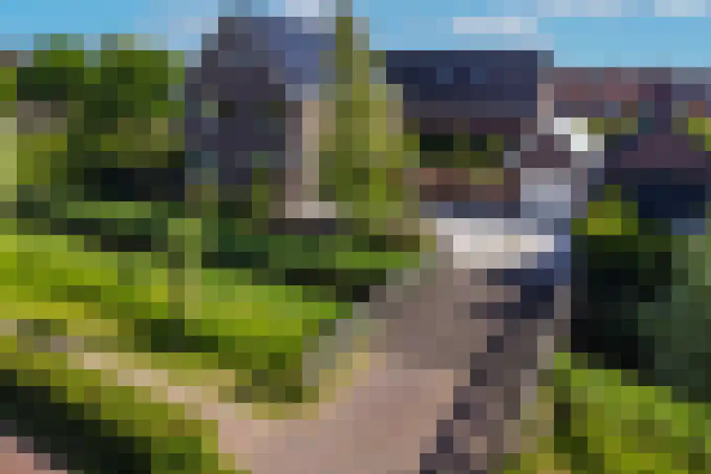 Twuyverweg 64 Sint Pancras thumbnail 4