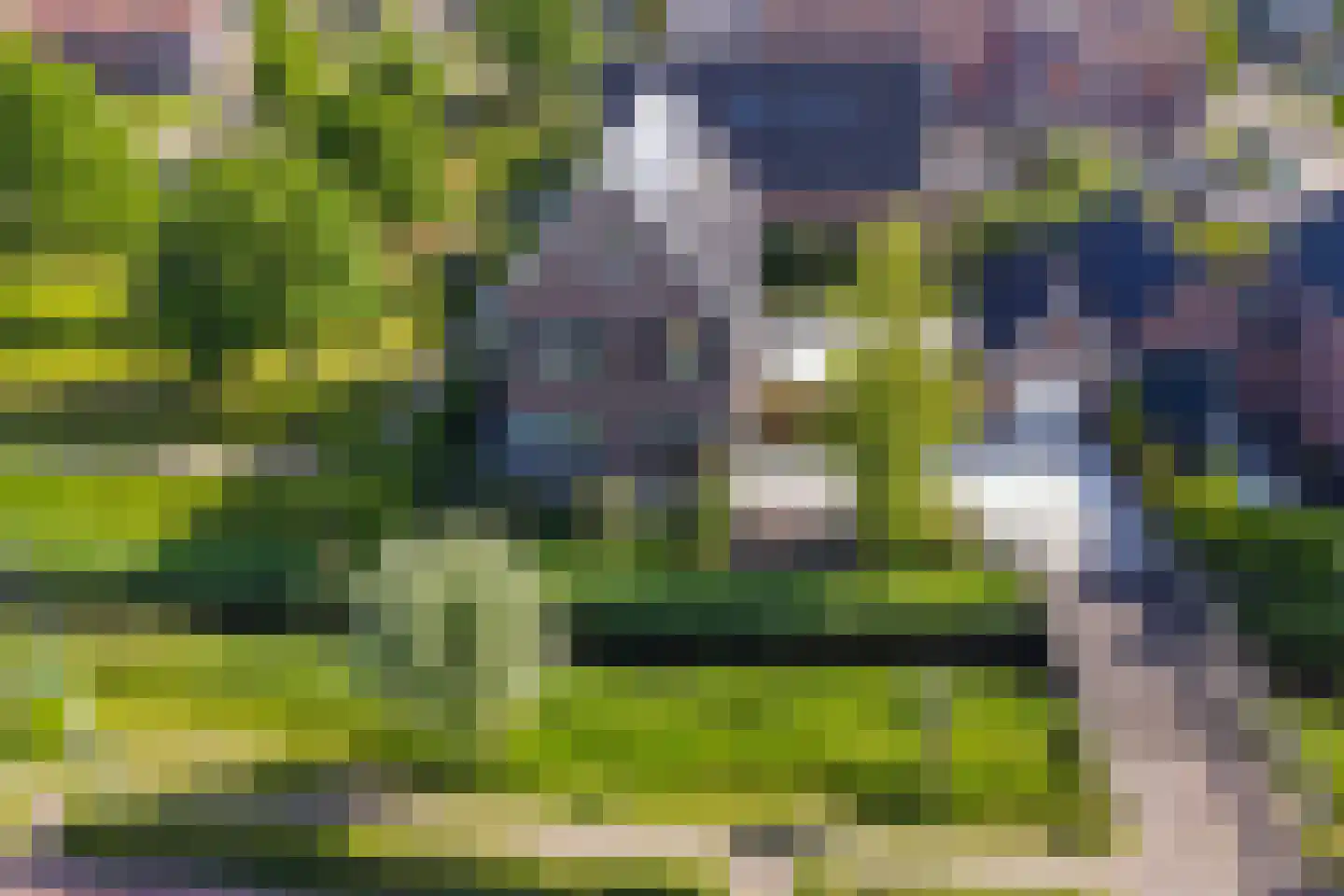 Twuyverweg 64 Sint Pancras thumbnail 40