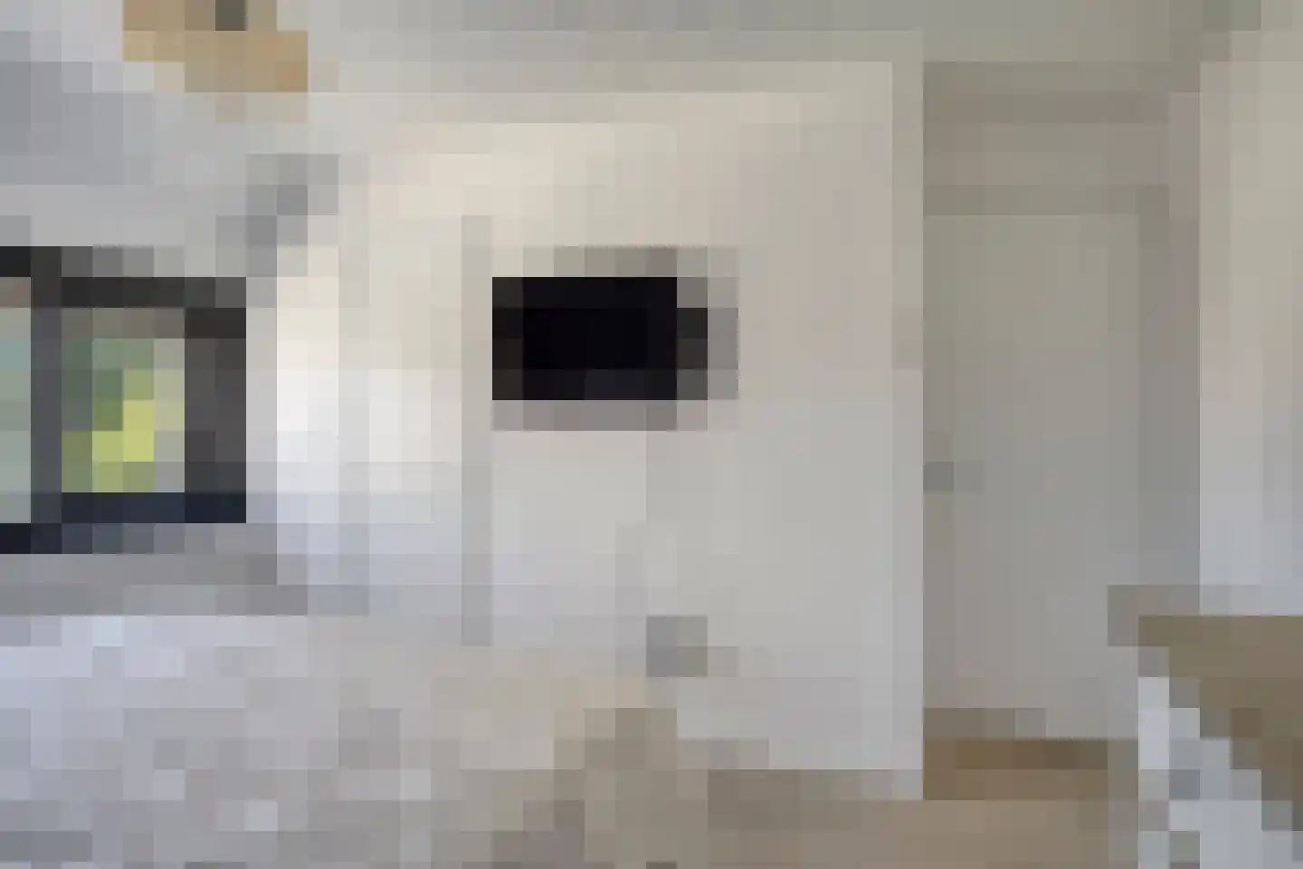 Tybaertstraat 15 Nieuw Namen thumbnail 14