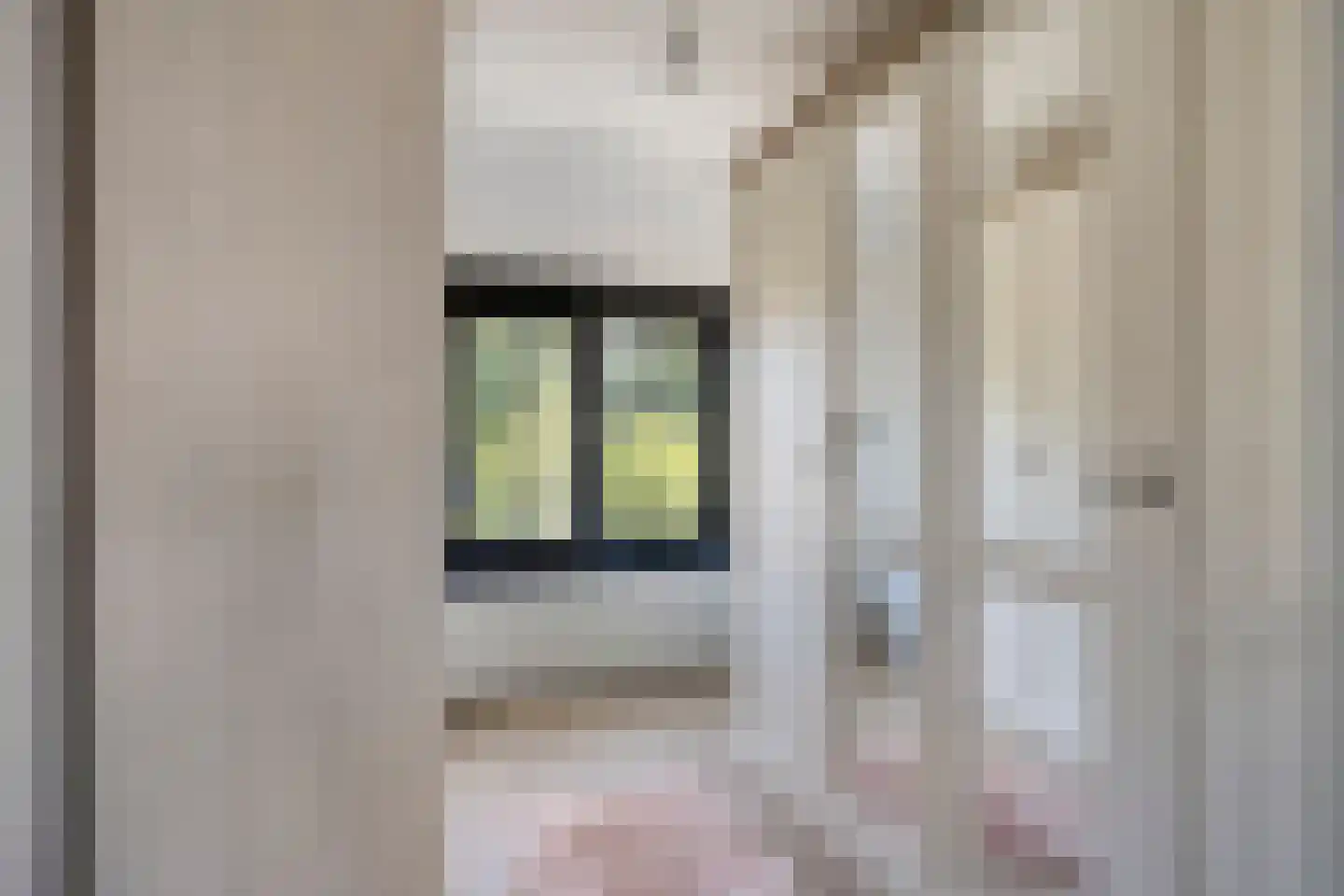Tybaertstraat 15 Nieuw Namen thumbnail 17