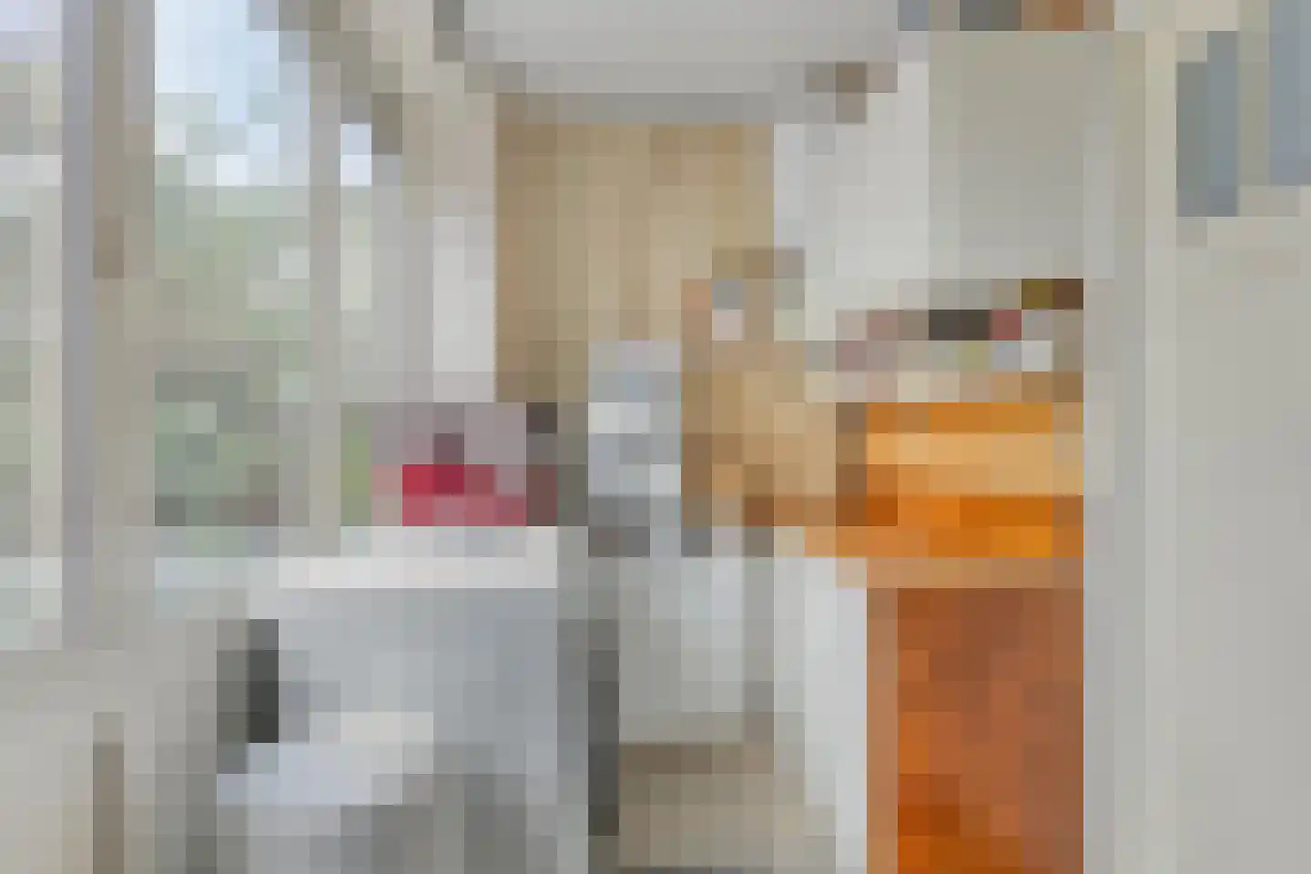 Tybaertstraat 7 Nieuw Namen thumbnail 13