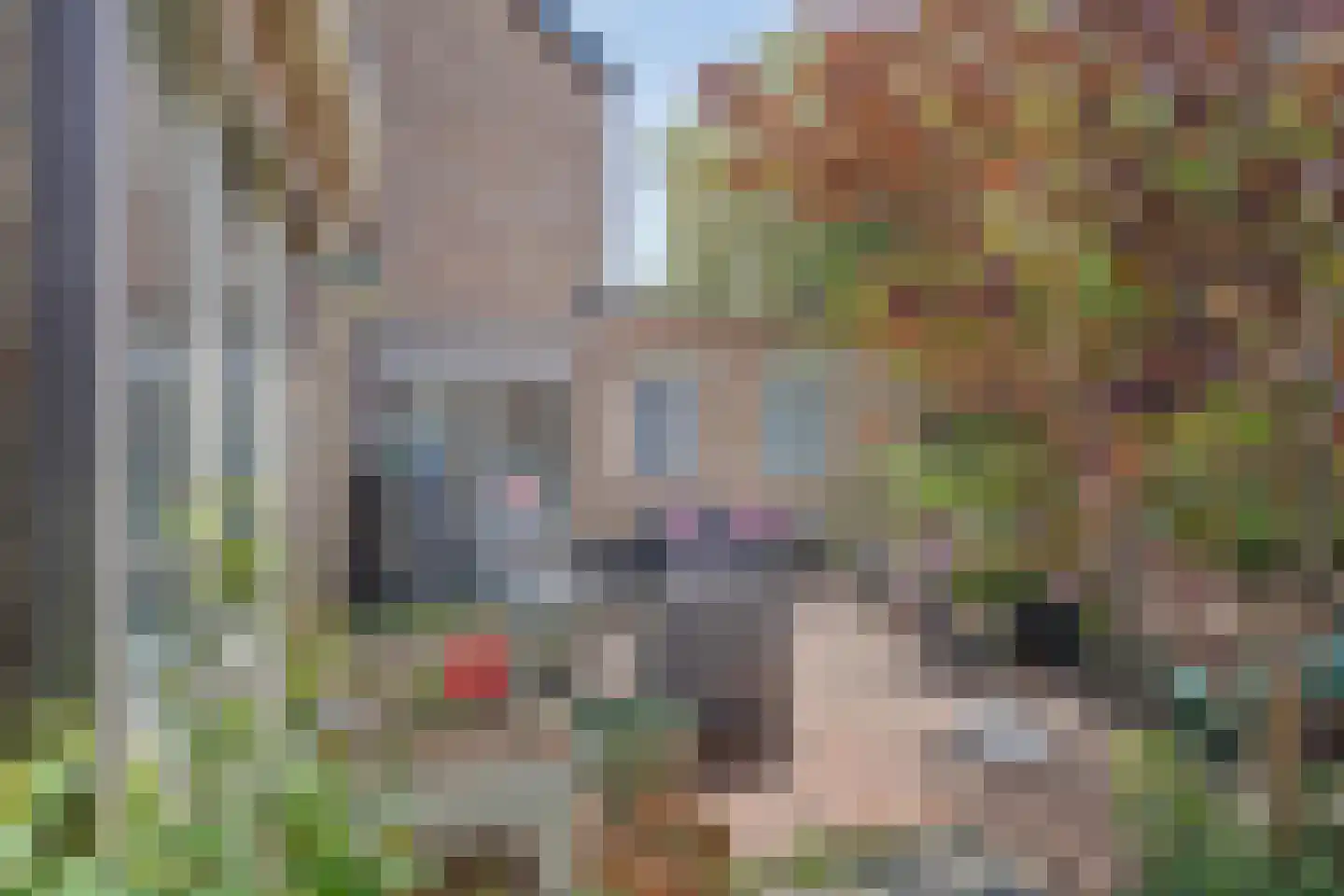 Tybaertstraat 7 Nieuw Namen thumbnail 25