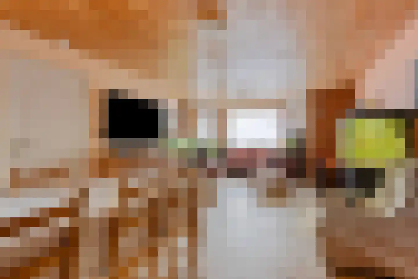 Tybaertstraat 7 Nieuw Namen thumbnail 6
