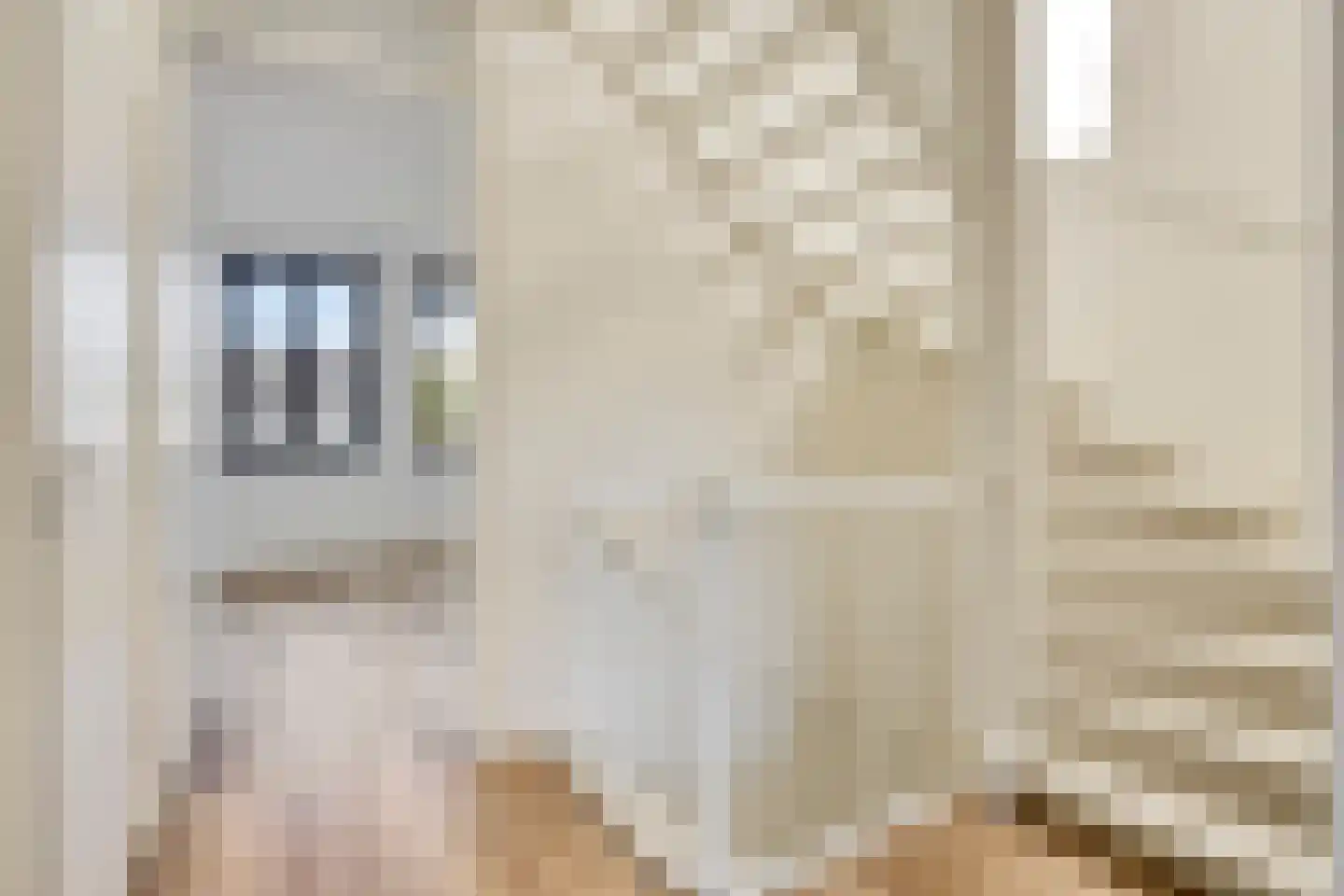 Tyboschplein 25 Helmond thumbnail 20