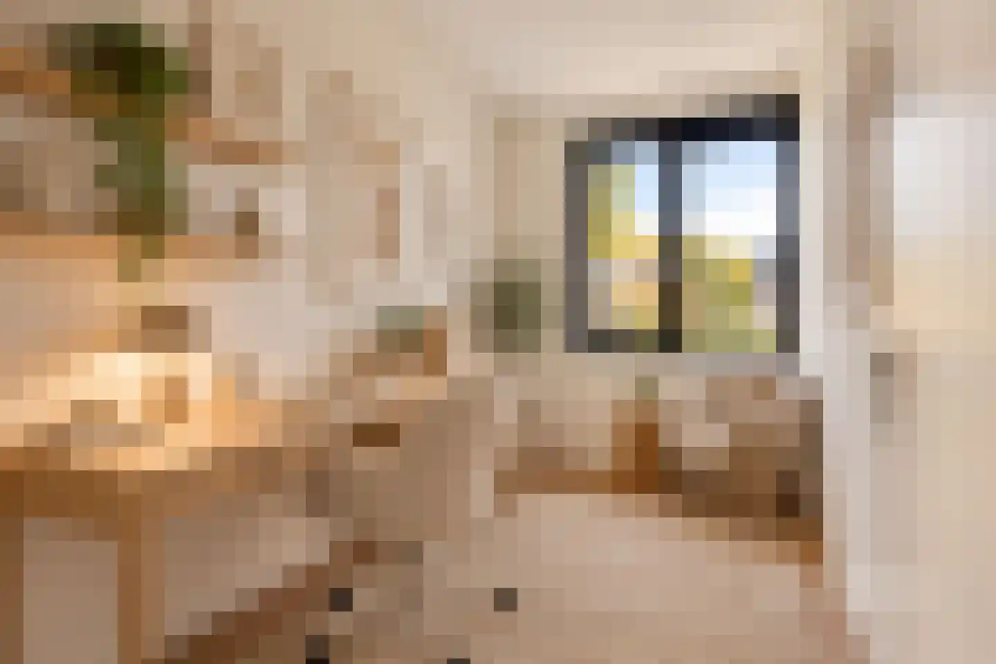 Tyboschplein 25 Helmond thumbnail 25