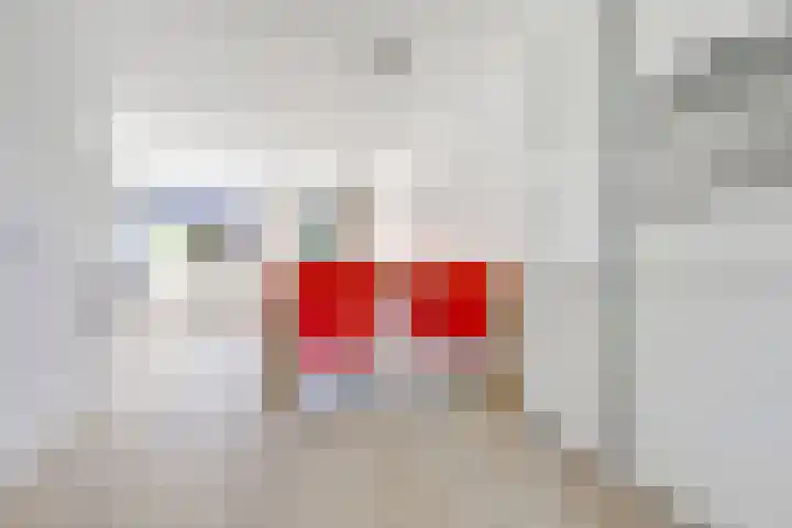 Tylant 14 Westervoort thumbnail 12