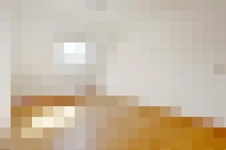 Tylant 14 Westervoort thumbnail 20