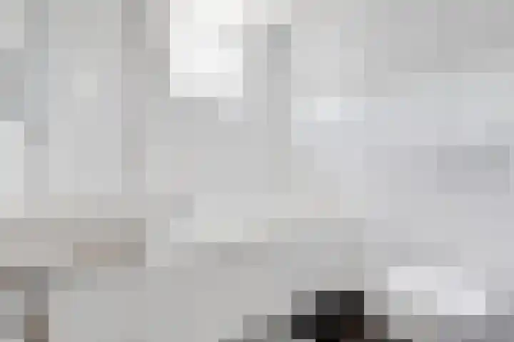 Tylant 14 Westervoort thumbnail 22