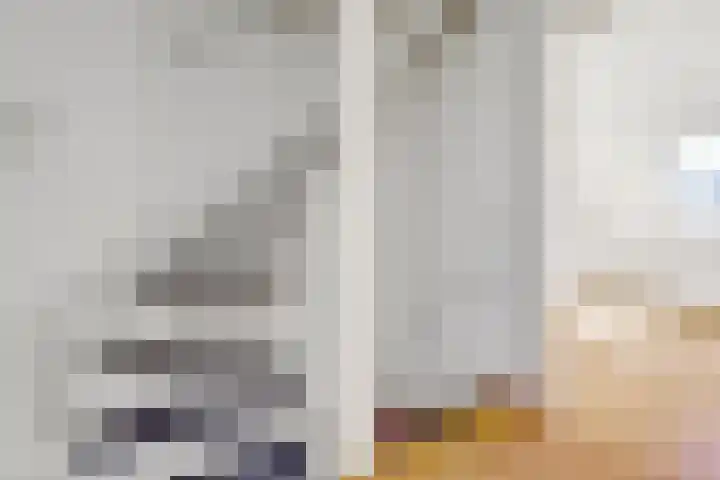 Tylant 14 Westervoort thumbnail 25