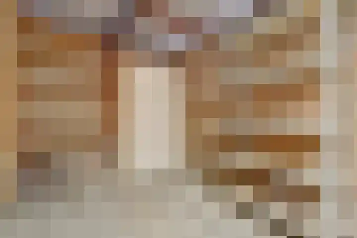 Tylant 14 Westervoort thumbnail 30
