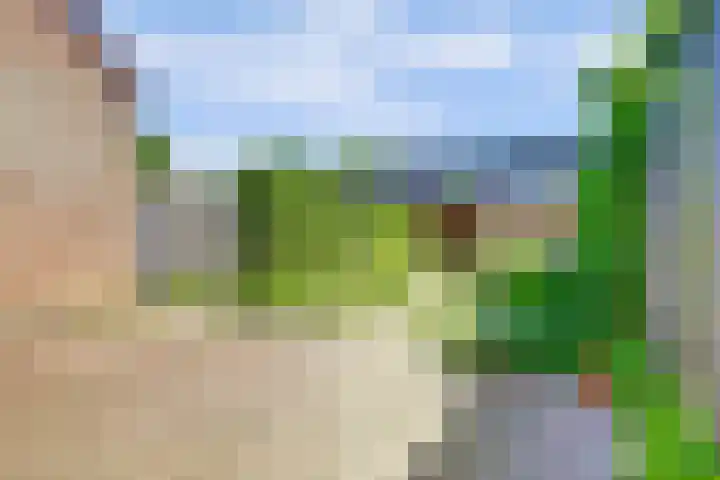 Tylant 14 Westervoort thumbnail 32