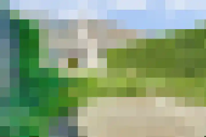 Tylant 14 Westervoort thumbnail 33