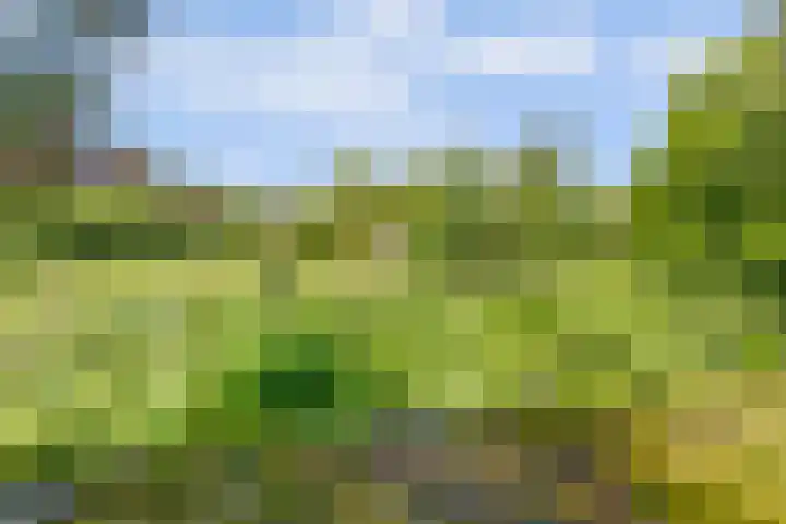 Tylant 14 Westervoort thumbnail 35