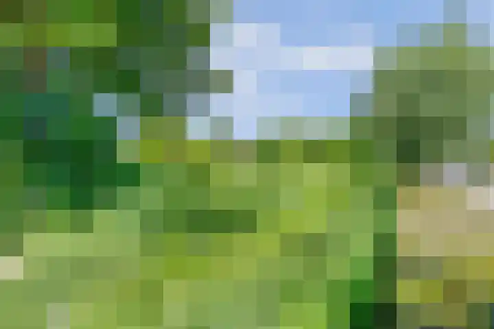 Tylant 14 Westervoort thumbnail 36