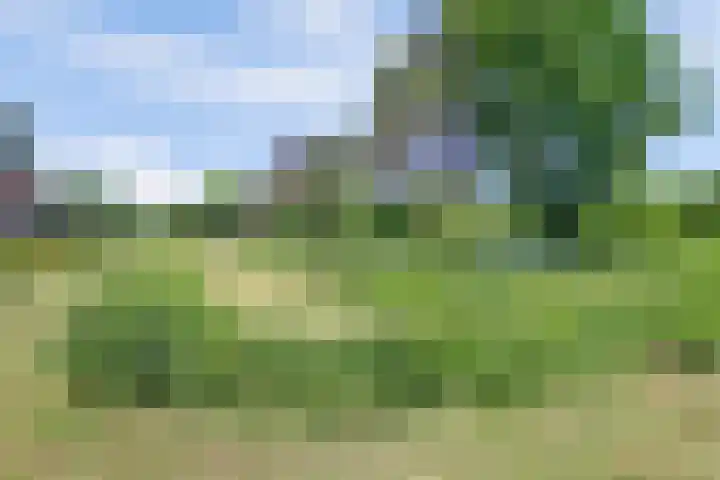 Tylant 14 Westervoort thumbnail 37