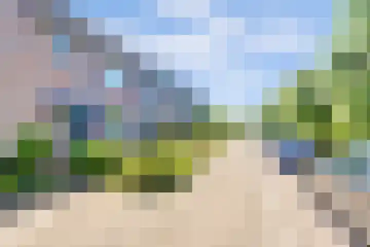 Tylant 14 Westervoort thumbnail 4