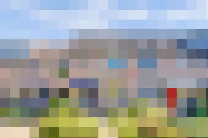 Tylant 14 Westervoort thumbnail 5