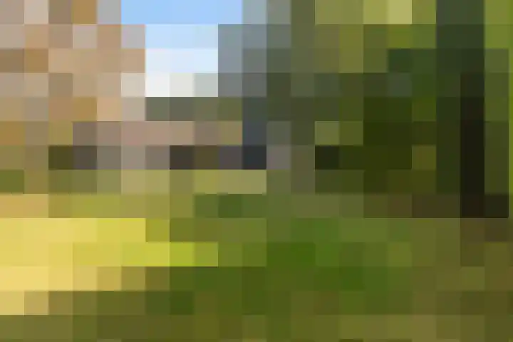 Tylkedam 7 Leeuwarden thumbnail 60