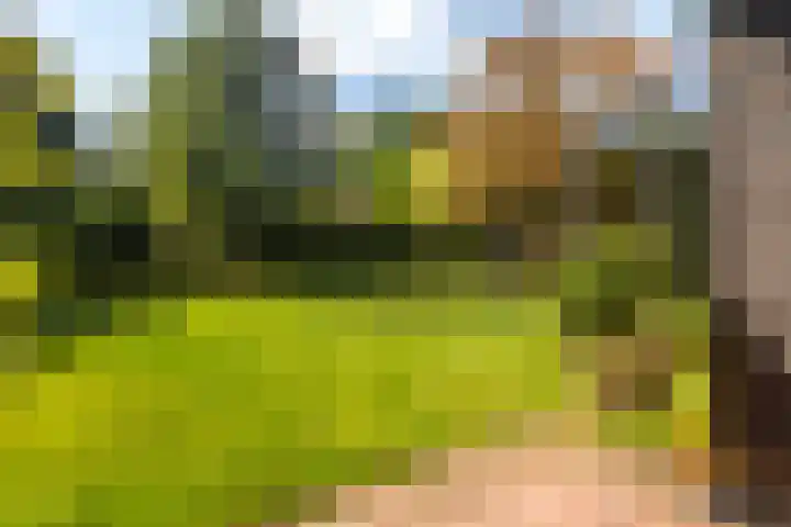Tylkedam 7 Leeuwarden thumbnail 63