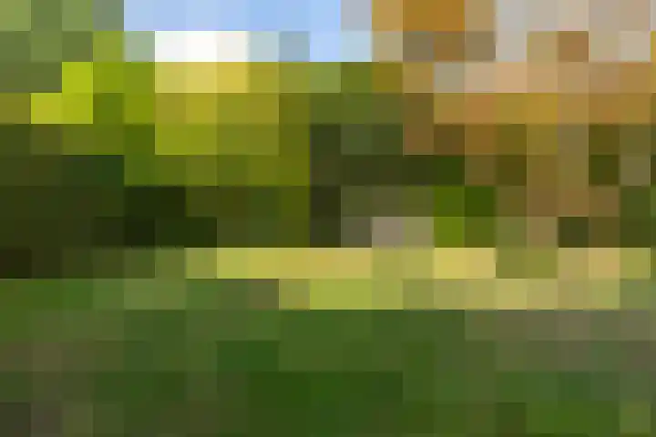 Tylkedam 7 Leeuwarden thumbnail 64