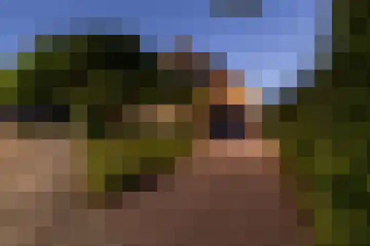 Tylkedam 7 Leeuwarden thumbnail 75