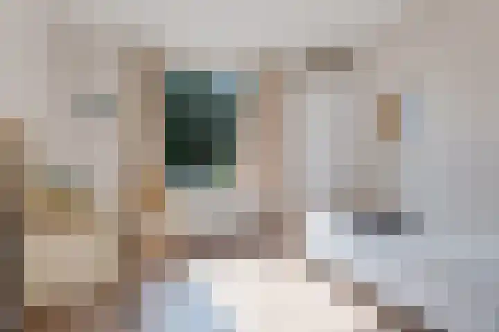 Tymanshof 13 Assen thumbnail 25