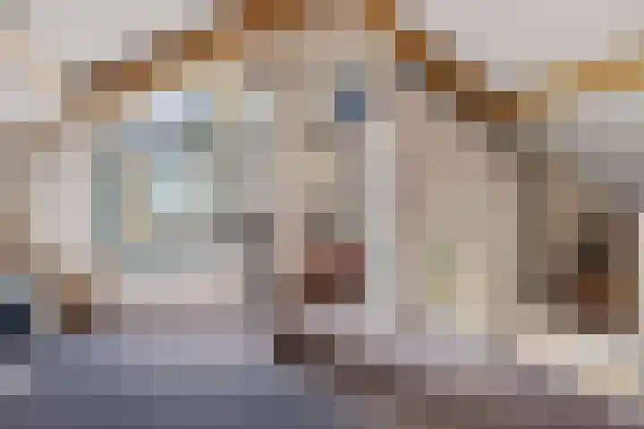 Tymanshof 13 Assen thumbnail 33