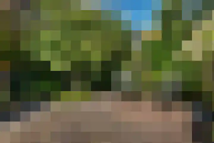 Tymanshof 13 Assen thumbnail 38