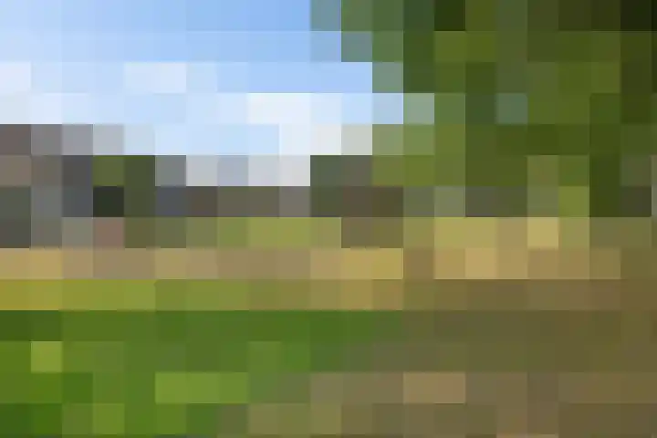 Tymanshof 13 Assen thumbnail 41
