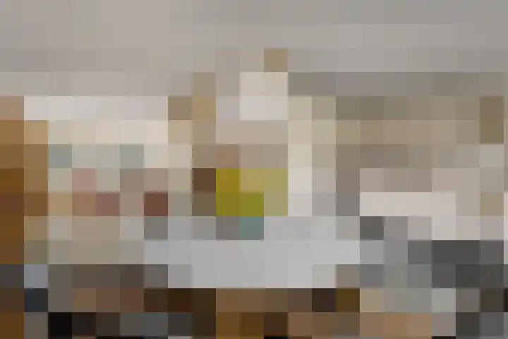 Tymanshof 13 Assen thumbnail 9