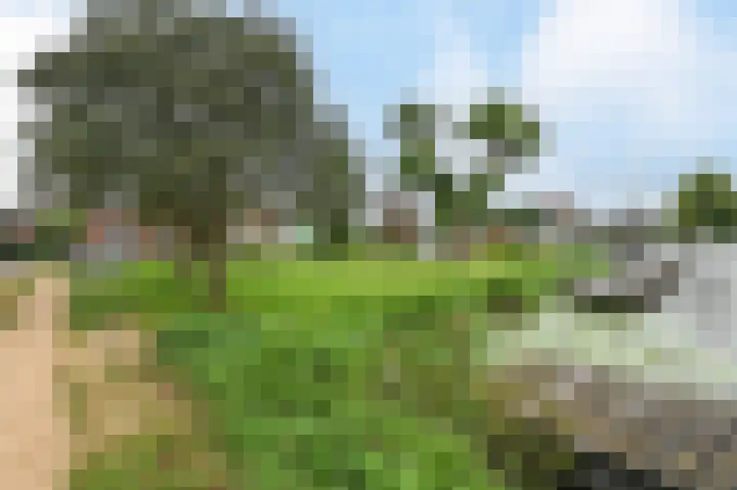 Tymon van Hiltenstraat 25 Amstelhoek thumbnail 35
