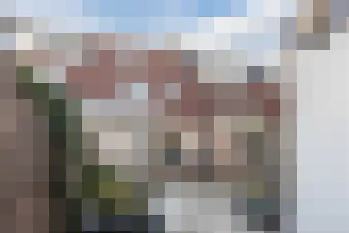 Tymonskroft 19 Egmond-Binnen thumbnail 44
