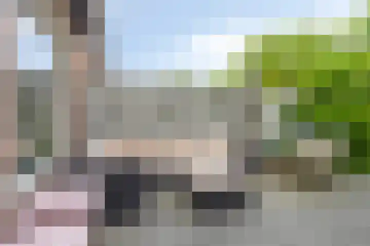 Tymonskroft 24 Egmond-Binnen thumbnail 35