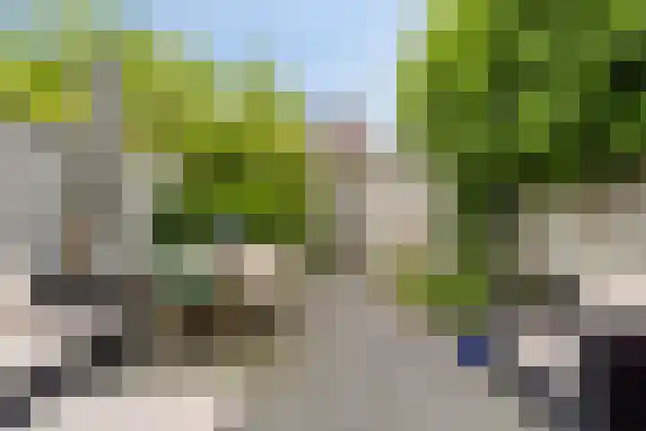 Tymonskroft 24 Egmond-Binnen thumbnail 37