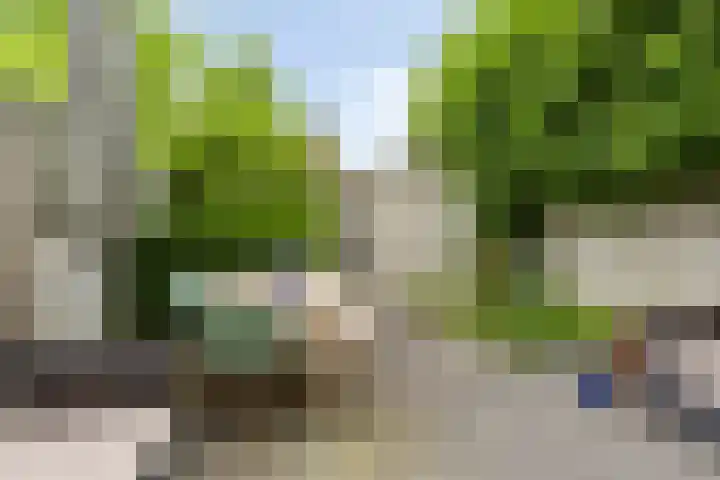 Tymonskroft 24 Egmond-Binnen thumbnail 38