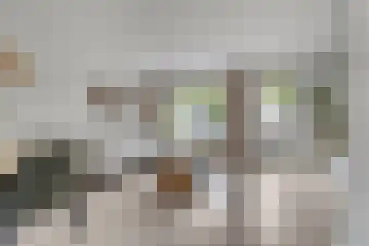 Tymonskroft 24 Egmond-Binnen thumbnail 4