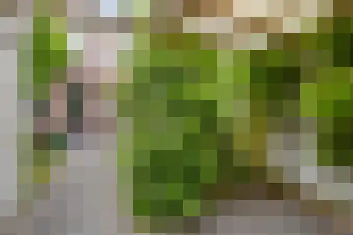 Tymonskroft 24 Egmond-Binnen thumbnail 40