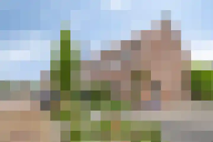 Tymonskroft 24 Egmond-Binnen thumbnail 41