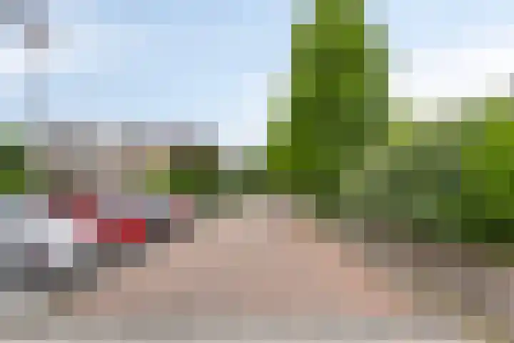 Tymonskroft 24 Egmond-Binnen thumbnail 45
