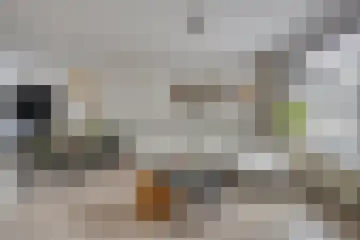Tymonskroft 24 Egmond-Binnen thumbnail 5
