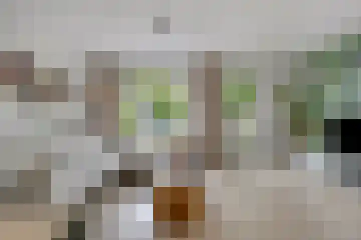 Tymonskroft 24 Egmond-Binnen thumbnail 7