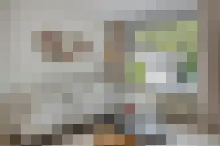 Tymonskroft 24 Egmond-Binnen thumbnail 8