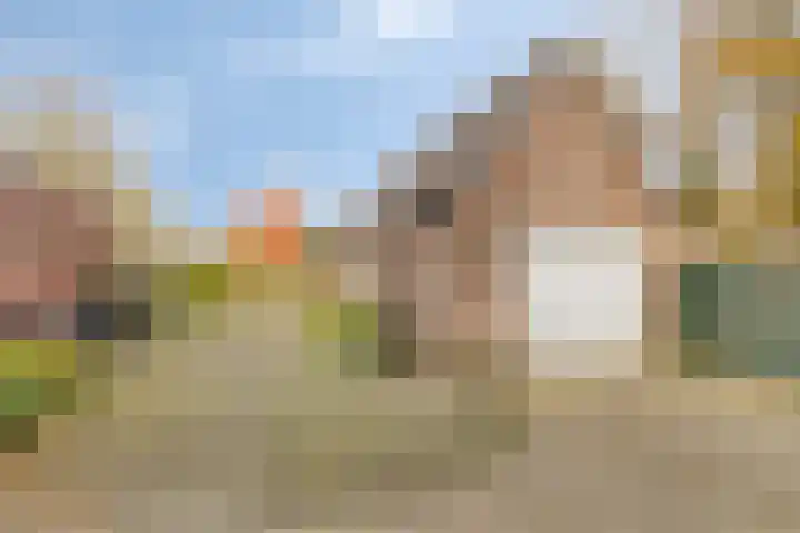 Tynaarlosestraat 49 a Vries thumbnail 32
