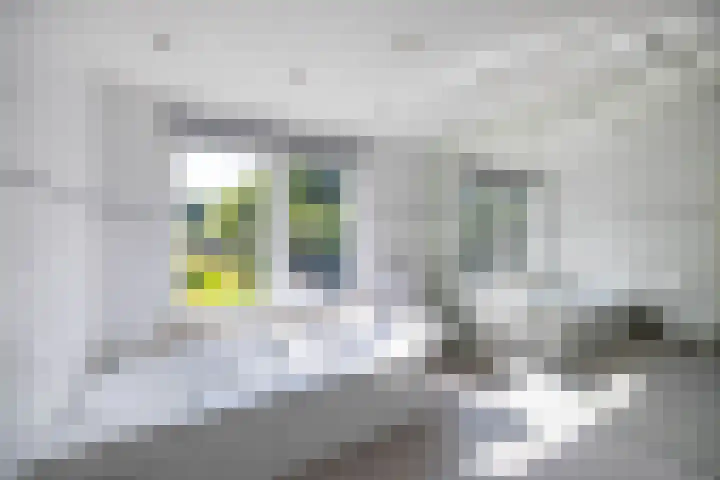 Tynaarlosestraat 68 Vries thumbnail 32