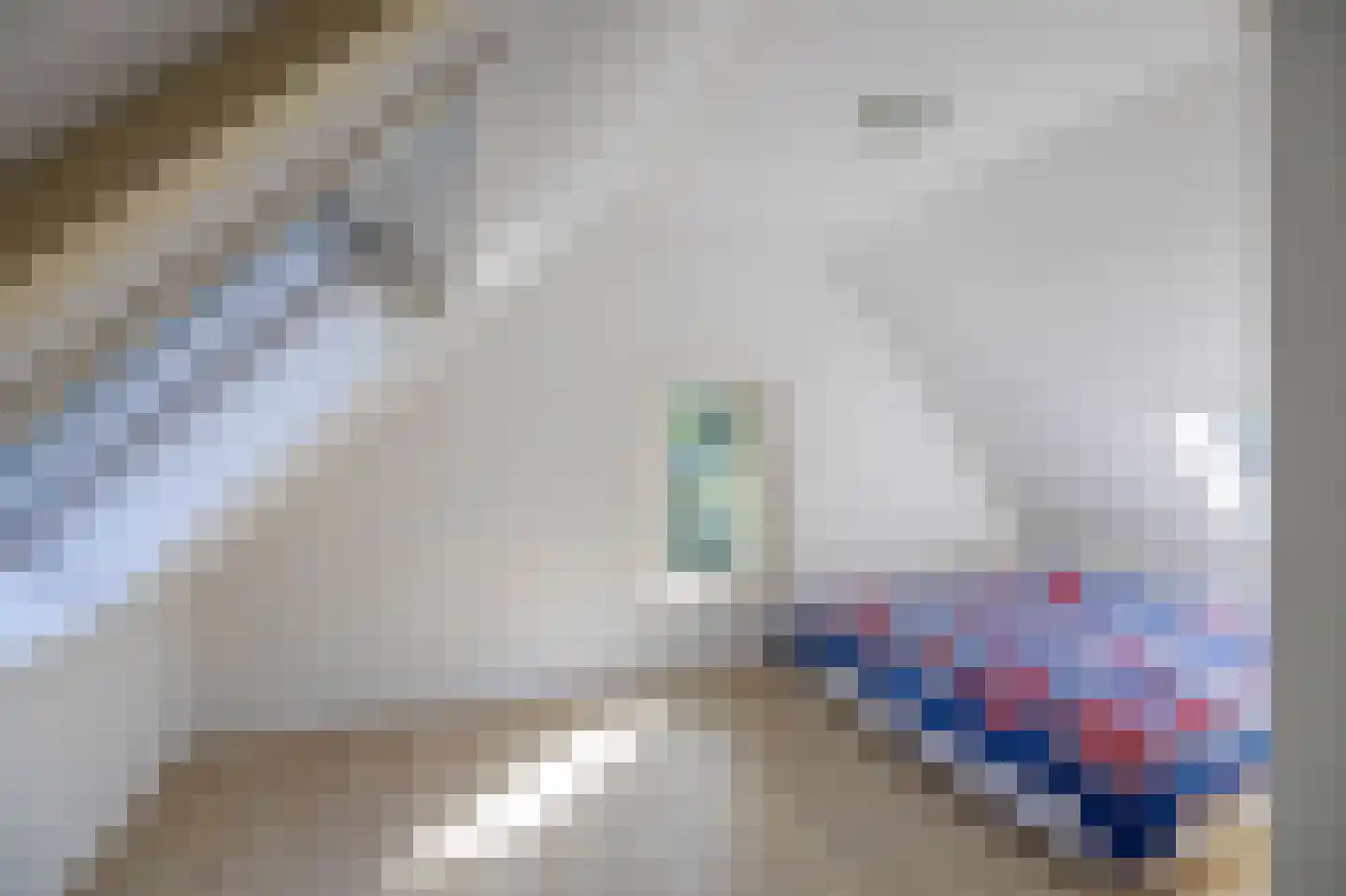 Tynaarlosestraat 68 Vries thumbnail 34