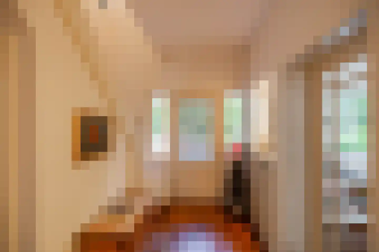 Tynaarlosestraat 68 Vries thumbnail 4