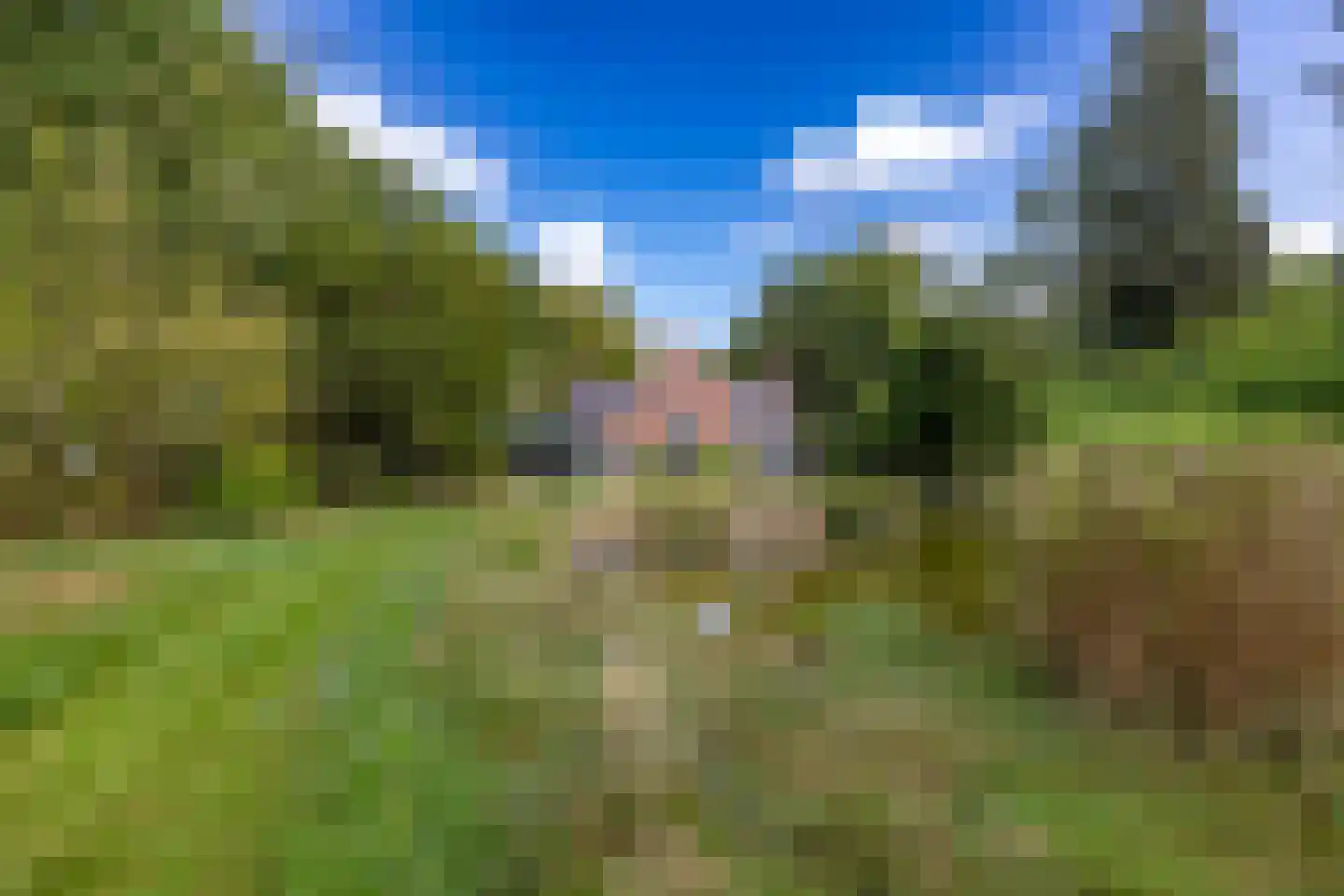 Tynaarlosestraat 68 Vries thumbnail 44