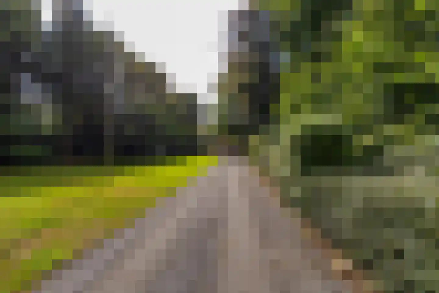 Tynaarlosestraat 68 Vries thumbnail 58